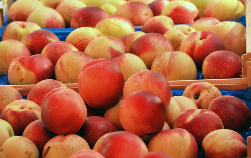 Fruit Plate